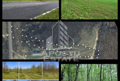 Teren agricol extravilan de 8600 mp, în Cuied - 1