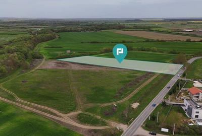 Teren intravilan 5800 mp in Remetea Mare - 2