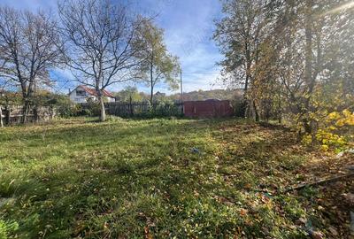 Vand casa in Berbesti. - 6