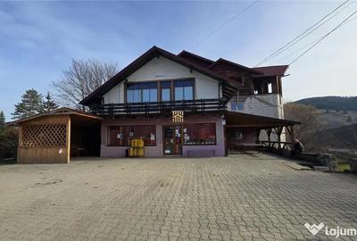Spațiu comercial, de 1,150 mp, în Frasin - 11