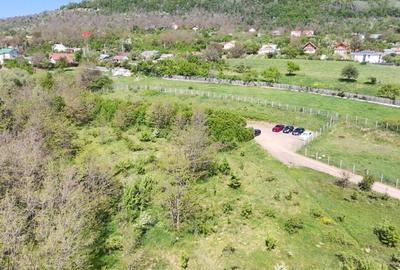 Teren de 850 mp, în Pietrărie - 3