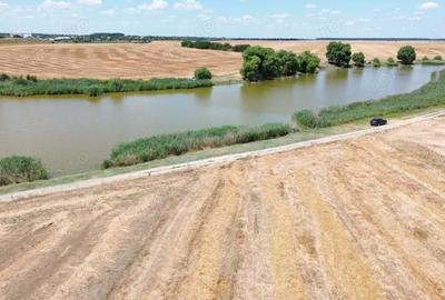 Teren de 6500 mp, în Frumușani - 15