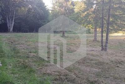 Spațiu comercial, în Porumbacu de Sus - 7