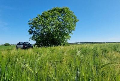 Teren agricol extravilan de 110 mp, în Stâlpu - 9