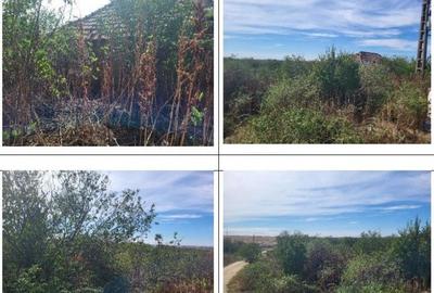 Casa si teren Sat Guruieni, cota parte de 1/2 , ID: R2319667 - 11