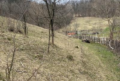 Teren Construcții intravilan de 3300 mp, în Sălătrucel - 7