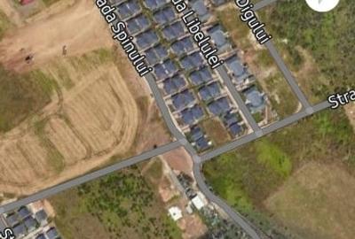 Teren Măgurele 1316mp - 3