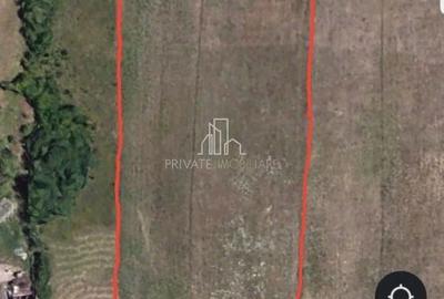 Spațiu comercial, în Albești - 5