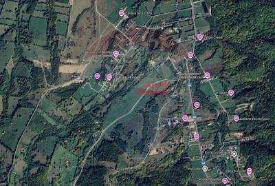 Teren extravilan Rasnov , Glajerie-Str Poiana velicanului... - 3