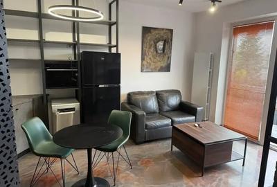 Doua camere mobilat/utilat stil industrial cu terasa zona Parc Carol - 15