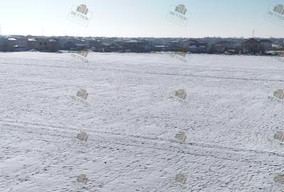 Teren 9360 mp de vânzare în Berceni, Ilfov – Ideal pentru dezvoltare PUZ - 6