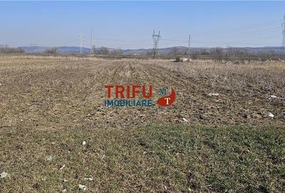 Teren de 6400 mp, în Central - 2