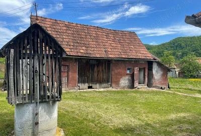 Casa de vanzare sat Ribi?a cu 50 de ari de teren Casa de vanzare sat Ribi?a cu 50 de ari de teren - 7