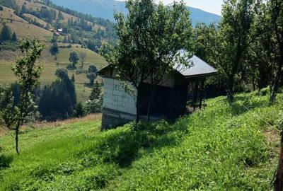 Casă cu 4 camere în Albac - 6