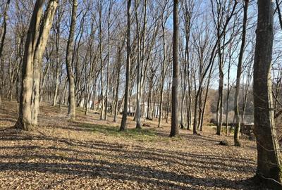 Teren de 1100 mp, în Făget