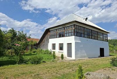 Casa tradi?ionala renovata + 4500 mp teren + livada, anexa, beci - 2