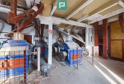 Moara de vanzare in comuna Periam, jude? Timi? - 2