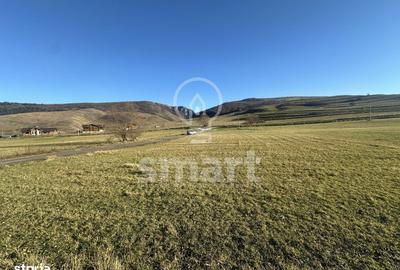 Spațiu comercial, în Petrești - 15