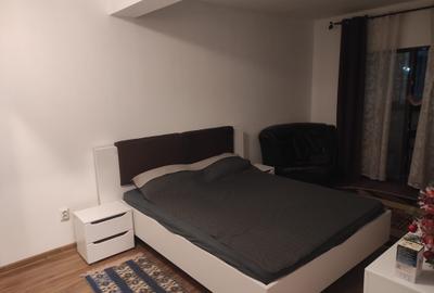 Apartament cu 3 camere decomandat, mobilat în Popas Păcurari - 10