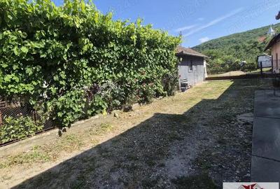 Vanzare casa in Santimbru - Dumitra Vanzare casa in Santimbru - Dumitra - 11