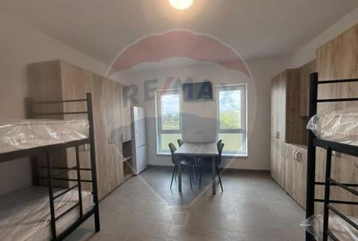 Cazare muncitori Sibiucamere dotate, pre? avantajos - 19