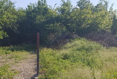 Ciolpani- Drumul Piscului patru loturi teren de la 896 mp pana la 977 mp - 2