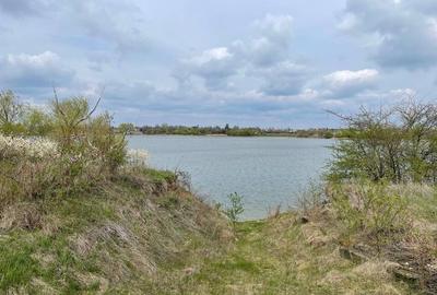 Teren Excepțional cu Deschidere la Lac - Samurcași, Buftea - 3