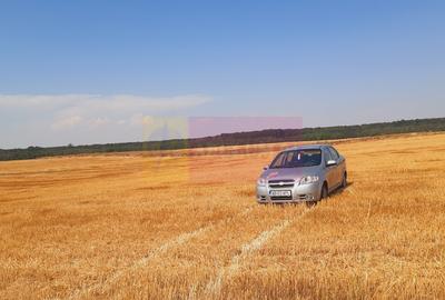 Teren pentru casa/case in Branesti pe strada Toporasi - 6