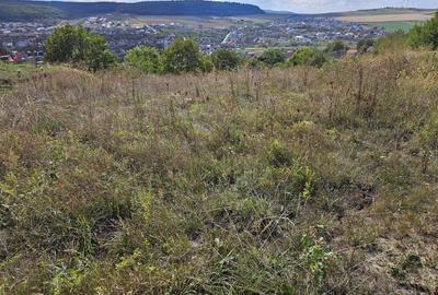 Teren cu autorizatie pentru doua case in Chinteni - 9