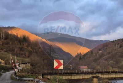 Casă individuală cu 7 camere cu Canalizare în Bistra - 1