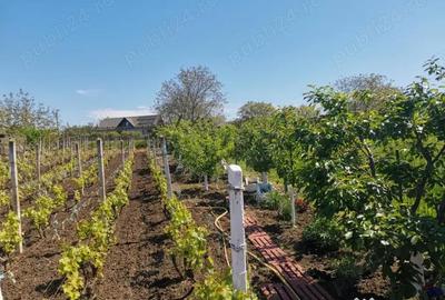 Teren de 1128 mp, în Central - 3