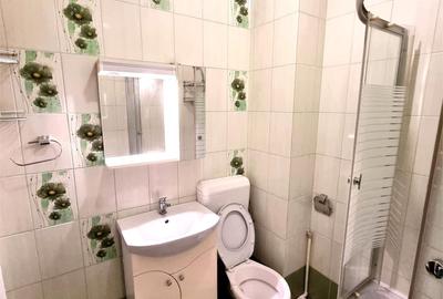 Apartament cu 2 camere decomandat, mobilat în 1 Decembrie 1918 - 13
