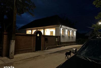Casă cu 3 camere cu Teren 2000 Mp în Băcia - 15