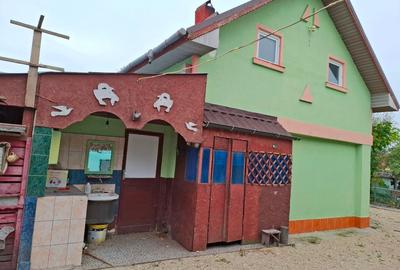 Casă individuală cu 2 camere cu Teren 2600 Mp în Crâmpoia - 3