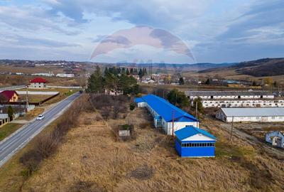 Spațiu industrial, de 800 mp, în Traian - 2