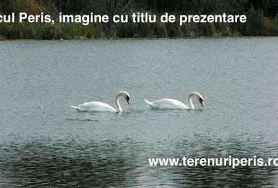 Teren în Săftica - 1