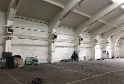 Basarabia - Costin Georgian | Hală industrială - 3