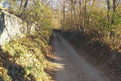 Teren de 3000 mp, în Vulturești - 3