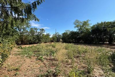 Vand casa 3 camere 100mp cu teren 2200mp, 60km de Bucuresti - 10