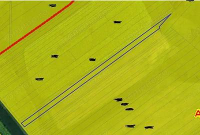 Teren extravilan arabil Ardeoani, ID: R1983077 - 3