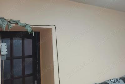 Casa de vanzare la 50km de Timisoara - 6