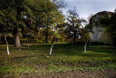 Teren Construcții intravilan de 64000 mp, în Cil