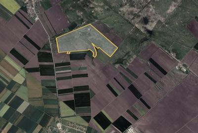 Teren 42 ha pentru parc fotovoltaic - Macea, Arad
