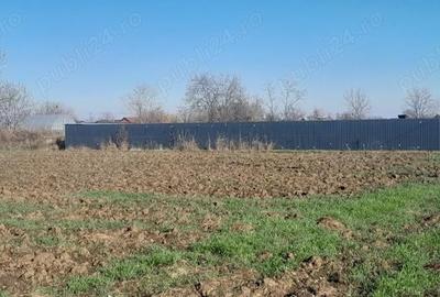 Teren de 7000 mp, în Brătășanca - 4