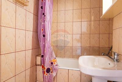Apartament cu 4 camere decomandat, mobilat în Doamna Ghica - 21