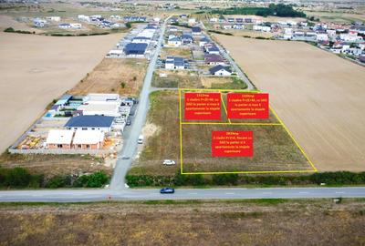 Teren Construcții intravilan de 1320 mp, în Moșnița Nouă - 2