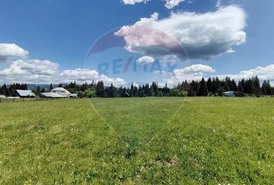 Teren de 9685 mp, în Neagra - 6