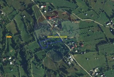 Teren 3,000mp Borsa / Strada Frasinel - 4