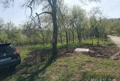 Teren de 2400 mp, în Crișeni - 1