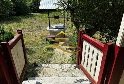 Casa batraneasca cu 2ha de teren de vanzare in sat Balaia / Bacau - 5